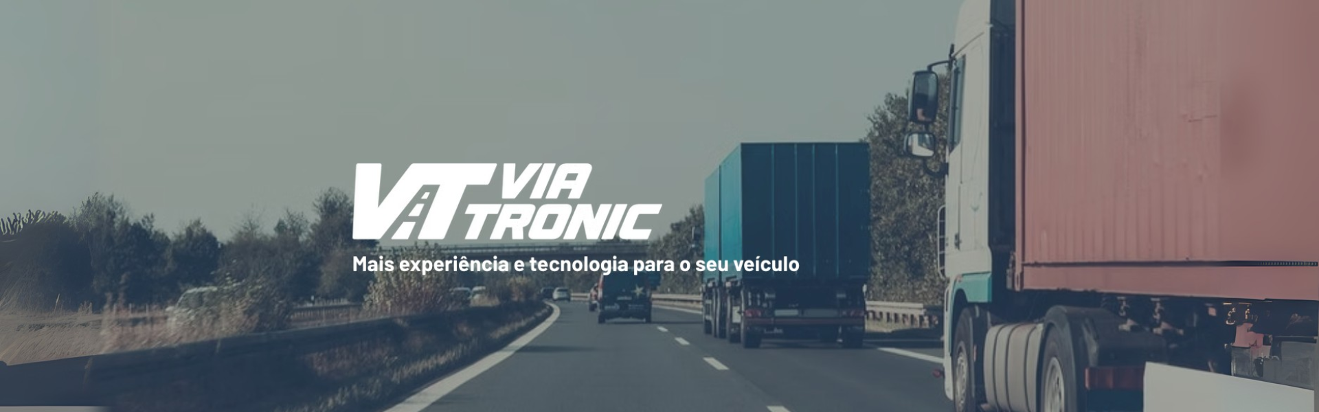 Case Viatronic - Redução de 70% para 16,62% de dependência do Mercado Livre